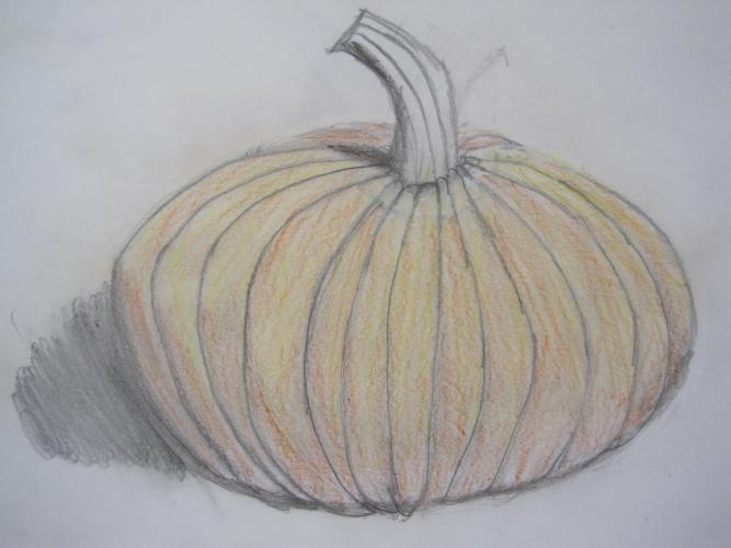 Pumpkin drawings emphasizing shading and form, 8th grade
