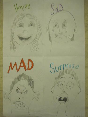 facial Features showing expressive emotions, 1st grade
