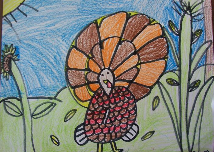 2nd grade turkey drawing