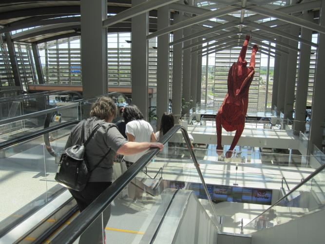  Sac International Airport, Public Arts