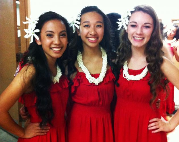 Hawaii 5-0 2013