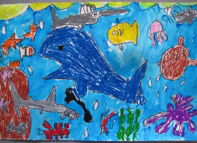 Under the Sea