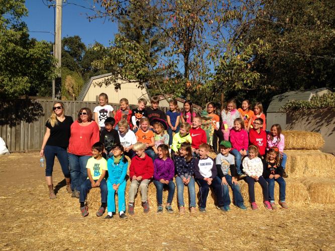 Fog Willow Pumpkin Farm