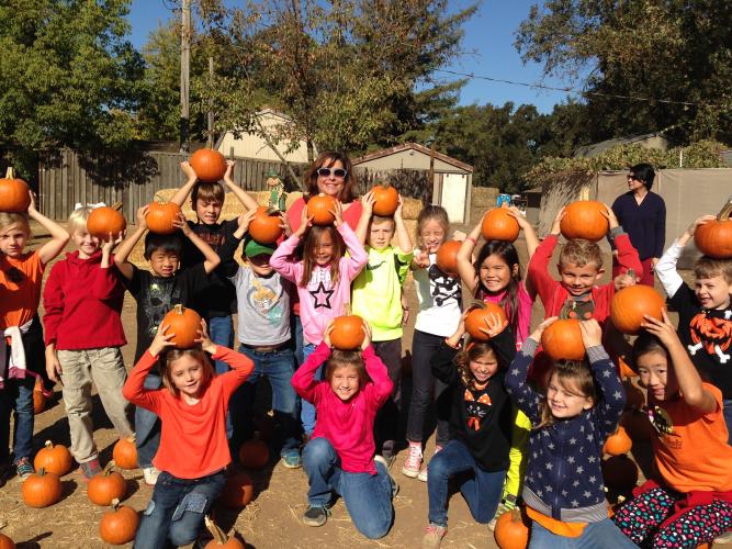Fog Willow Pumpkin Farm