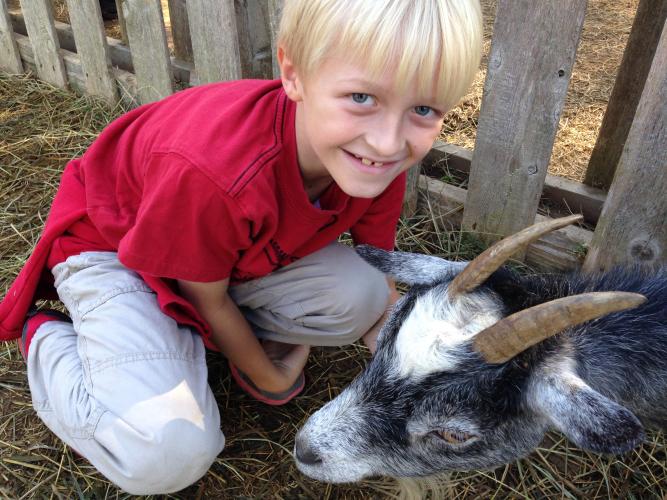Fog Willow Pumpkin Farm