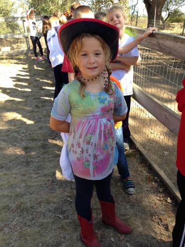 Fog Willow Pumpkin Farm