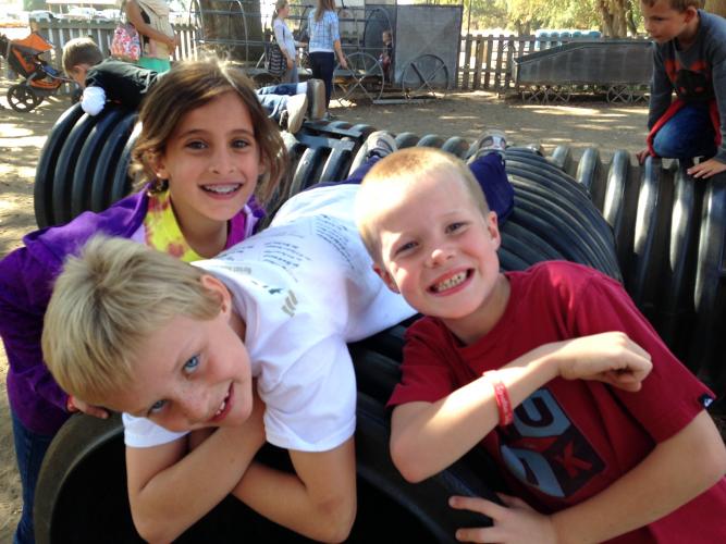 Fog Willow Pumpkin Farm