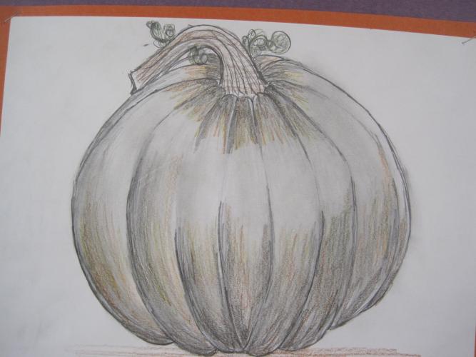 Pumpkin drawings emphasizing shading and form, 8th grade