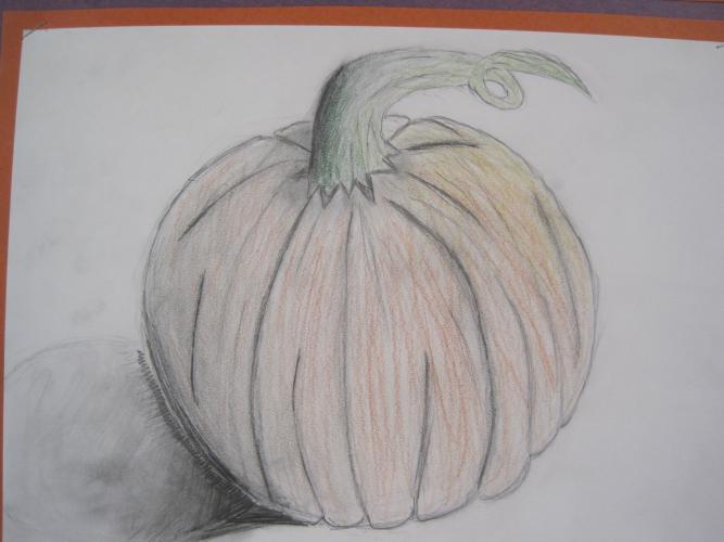 Pumpkin drawings emphasizing shading and form, 8th grade