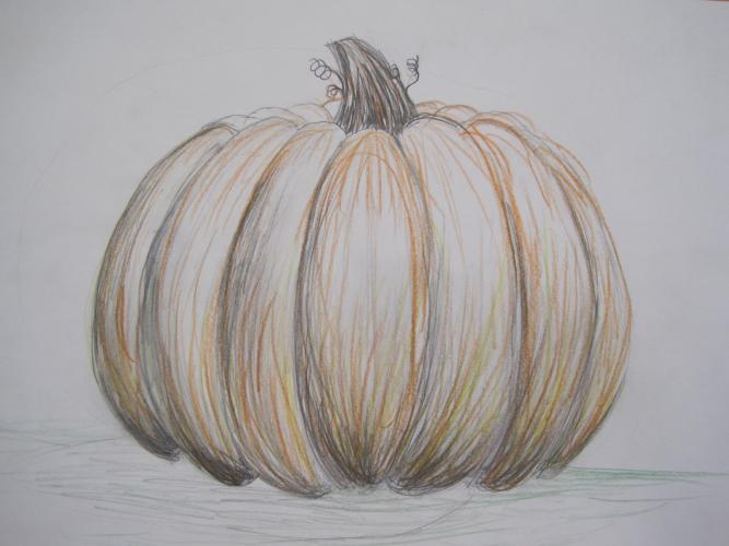 Pumpkin drawings emphasizing shading and form, 8th grade
