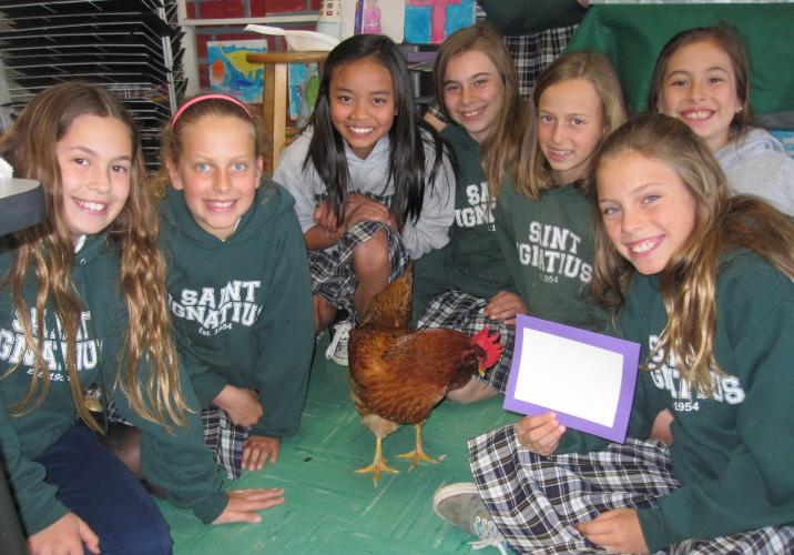 "Chip" the chicken visits with the Art Club. 